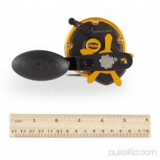 Penn Squall Level Wind Conventional Reel 552789113